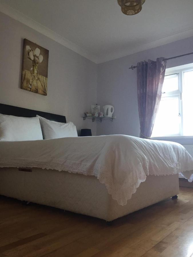 Padua Guest Accommodation Rosslare Rosslare Harbour Екстер'єр фото